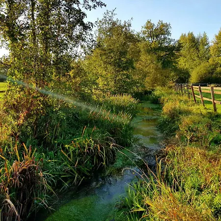 De Koll 펜션 Westerhoven