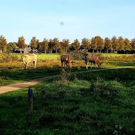 De Koll * Westerhoven